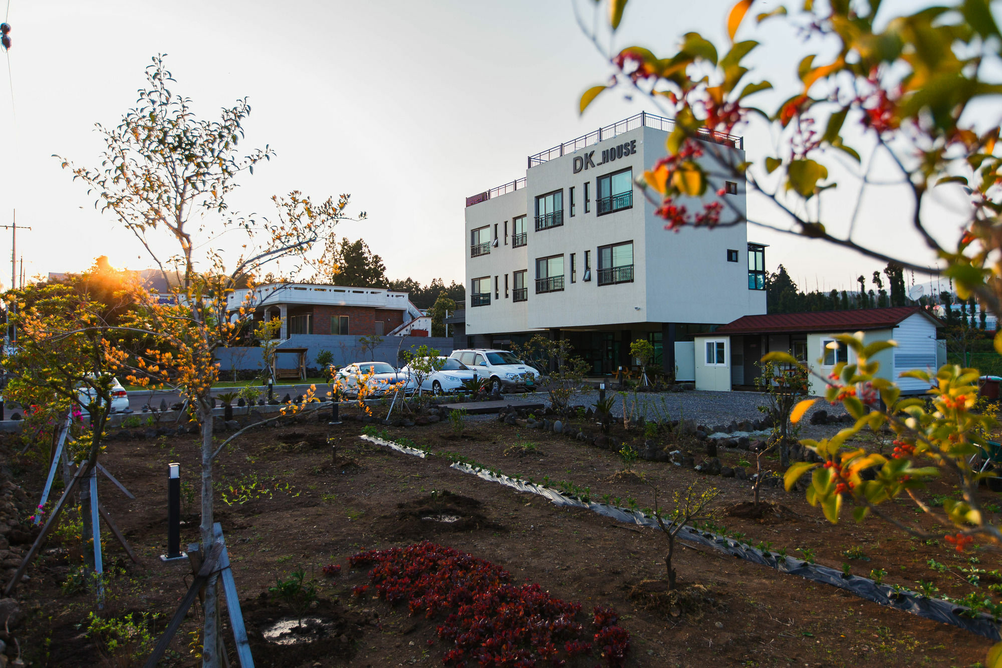 Dk House Pension Seogwipo Exterior foto